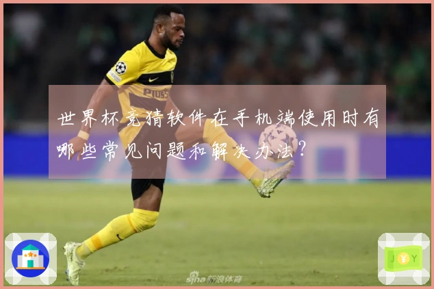 世界杯竞猜软件在手机端使用时有哪些常见问题和解决办法？