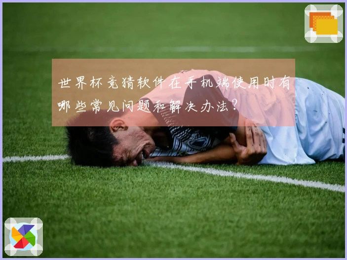世界杯竞猜软件在手机端使用时有哪些常见问题和解决办法？